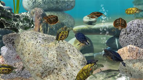 Galeri foto domino fish aquarium mod apk Kunjungi merchant resmi rekomendasi admin konten eksklusif di area member verifikasi