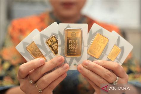 jasa domino sangat premium metode sederhana — Isi XL hari ini sekarang image 4